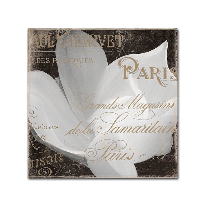 Trademark Fine Art "Fleurs Blanc II" Canvas Art by Color Bakery
