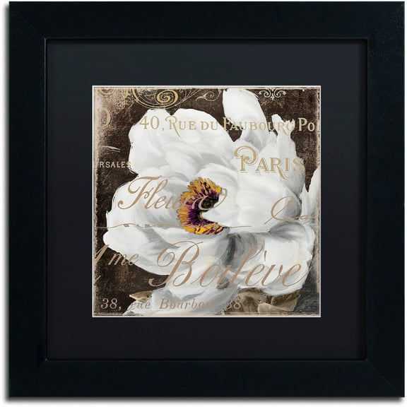 Trademark Fine Art "Fleurs Blanc III" Canvas Art by Color Bakery Black Matte, Black Frame