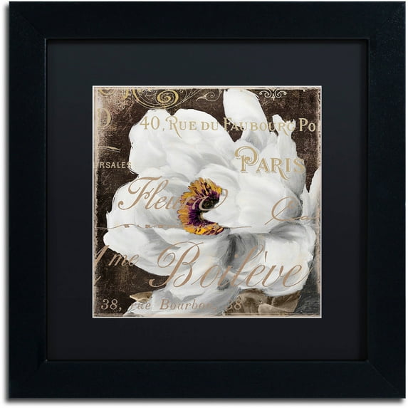 Trademark Fine Art "Fleurs Blanc III" Canvas Art by Color Bakery Black Matte, Black Frame