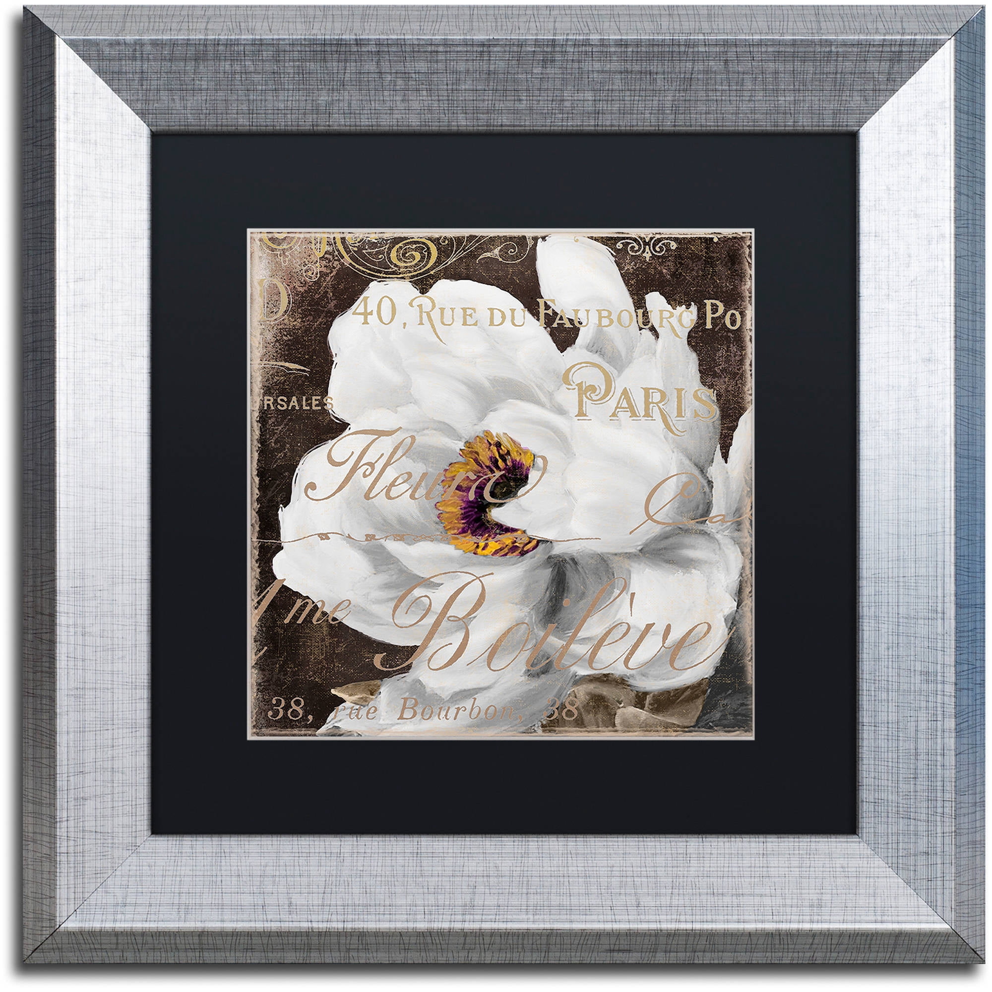 Trademark Fine Art "Fleurs Blanc III" Canvas Art by Color Bakery Black Matte, Silver Frame