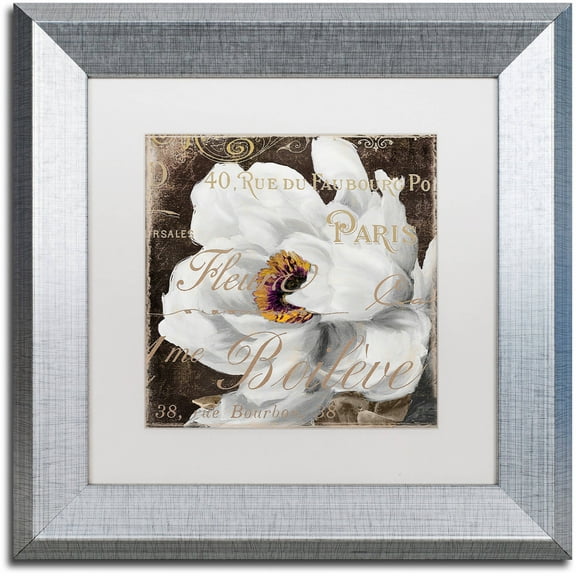 Trademark Fine Art "Fleurs Blanc III" Canvas Art by Color Bakery White Matte, Silver Frame