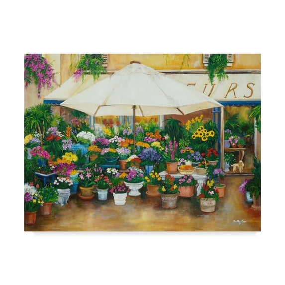 Trademark Fine Art 'Fleurs De Princess' Canvas Art by Betty Lou
