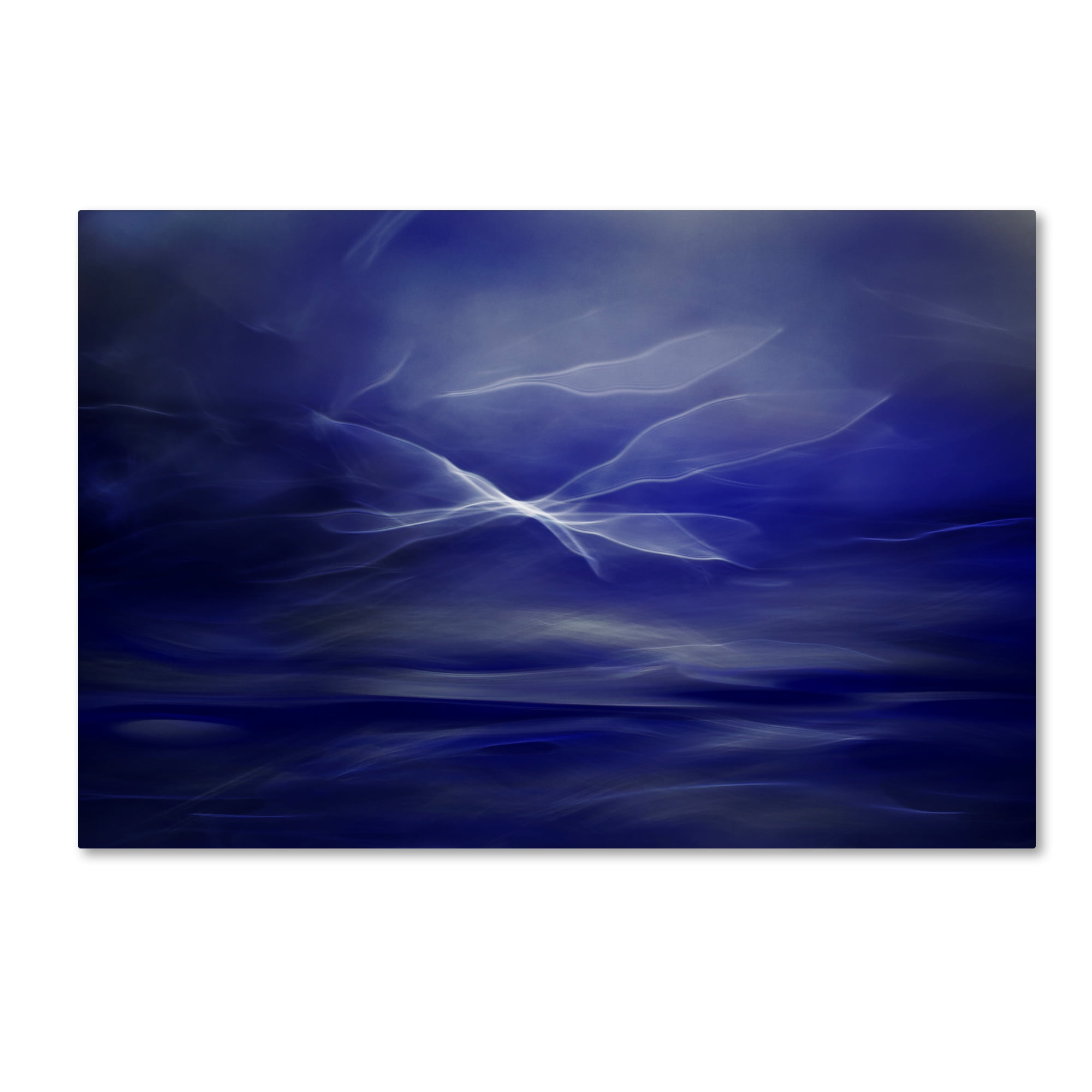 Trademark Fine Art 'Flight Of The Fairies' Canvas Art by Willy Marthinussen
