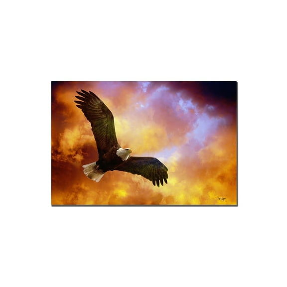 Trademark Fine Art "Flight of the Eagle" Canvas Art by Lois Bryan