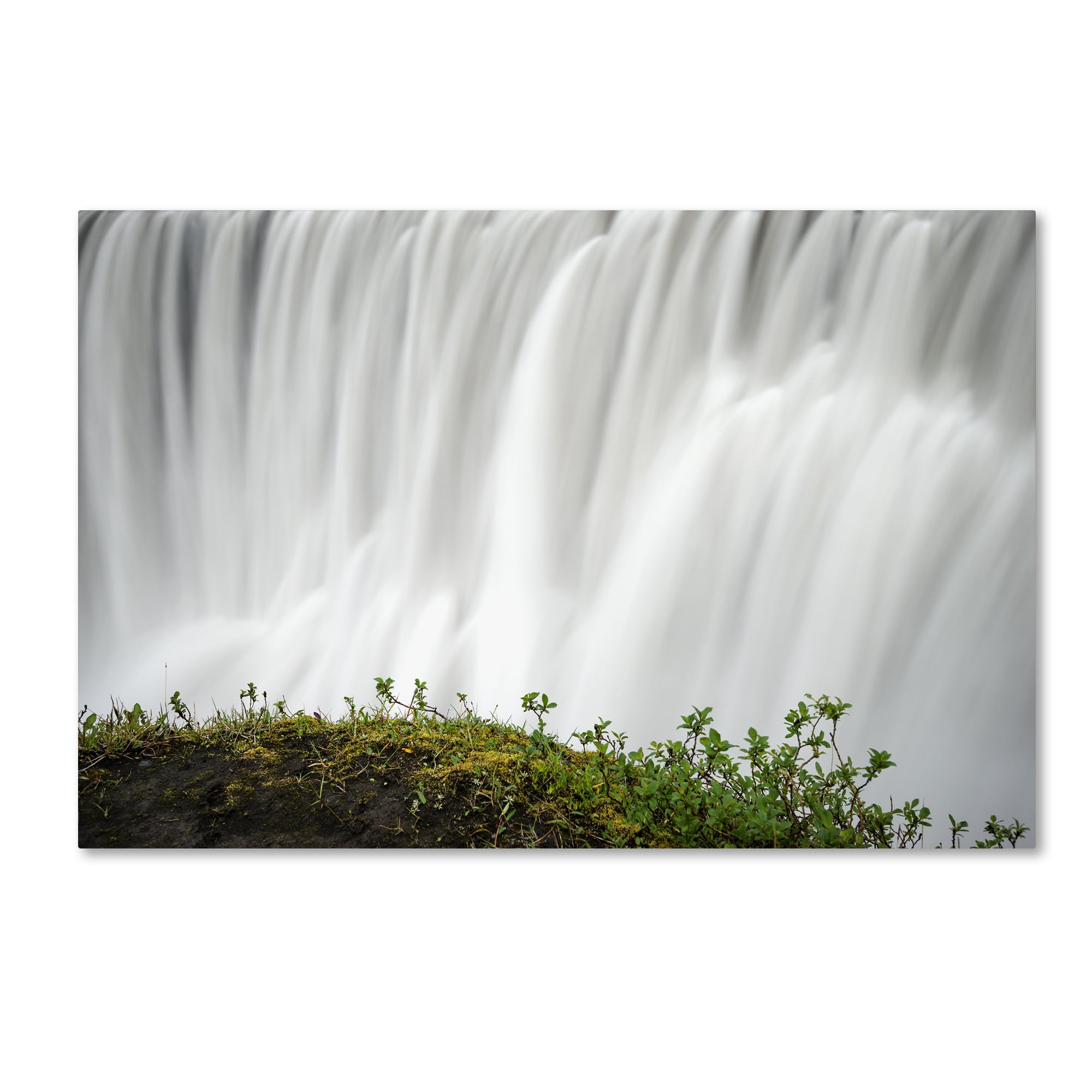 Trademark Fine Art 'Float' Canvas Art by Philippe Sainte-Laudy