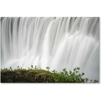 Trademark Fine Art 'Float' Canvas Art by Philippe Sainte-Laudy