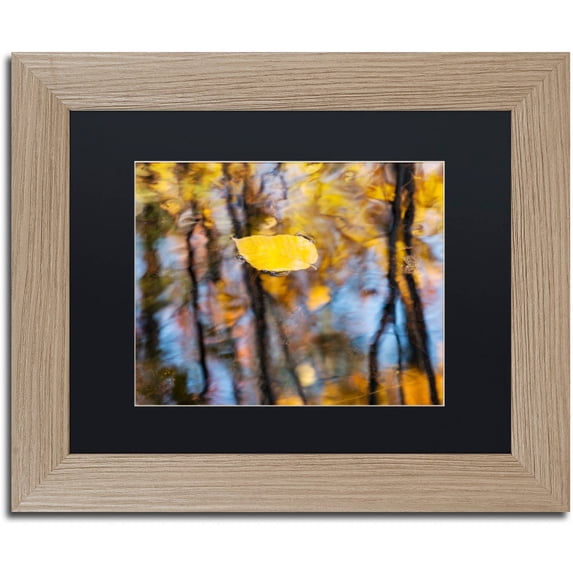 Trademark Fine Art "Floater" Canvas Art by Michael Blanchette Photography Black Matte, Birch Frame