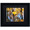 thumbnail image 1 of Trademark Fine Art "Floater" Canvas Art by Michael Blanchette Photography Black Matte, Black Frame, 1 of 4