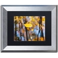 thumbnail image 1 of Trademark Fine Art "Floater" Canvas Art by Michael Blanchette Photography Black Matte, Silver Frame, 1 of 1