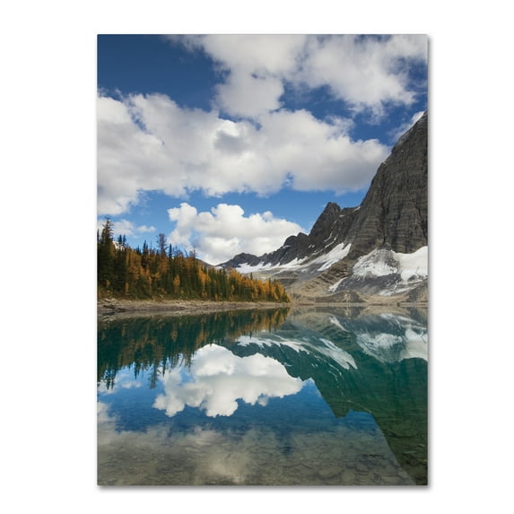 Trademark Fine Art 'Floe Lake Reflection I' Canvas Art by Alan Majchrowicz