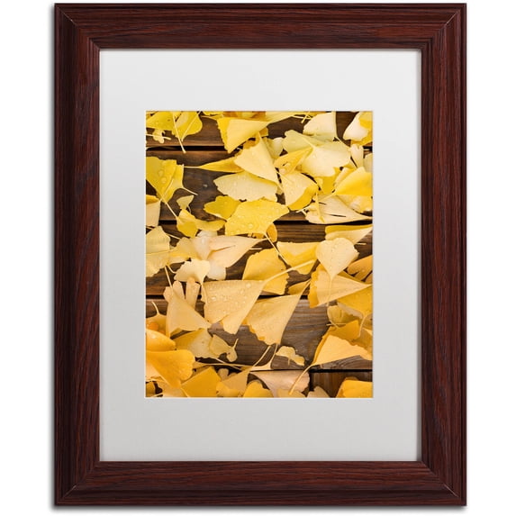 Trademark Fine Art "Floored By The Fall" Canvas Art by Philippe Sainte-Laudy White Matte, Wood Frame