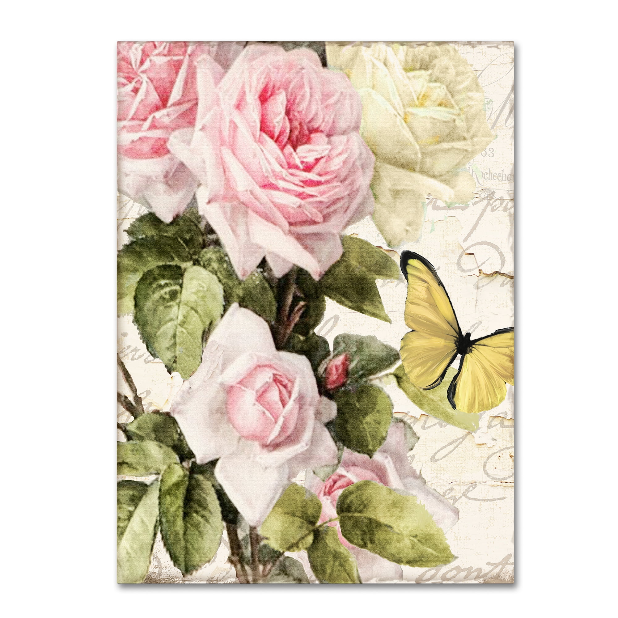 Trademark Fine Art "Flora Bella" Canvas Art by Color Bakery