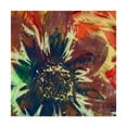 thumbnail image 1 of Trademark Fine Art 'Floragraph V' Canvas Art by James Burghardt, 1 of 4