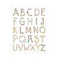 thumbnail image 1 of Farida Zaman 'Floral Alphabet' Canvas Art, 1 of 4