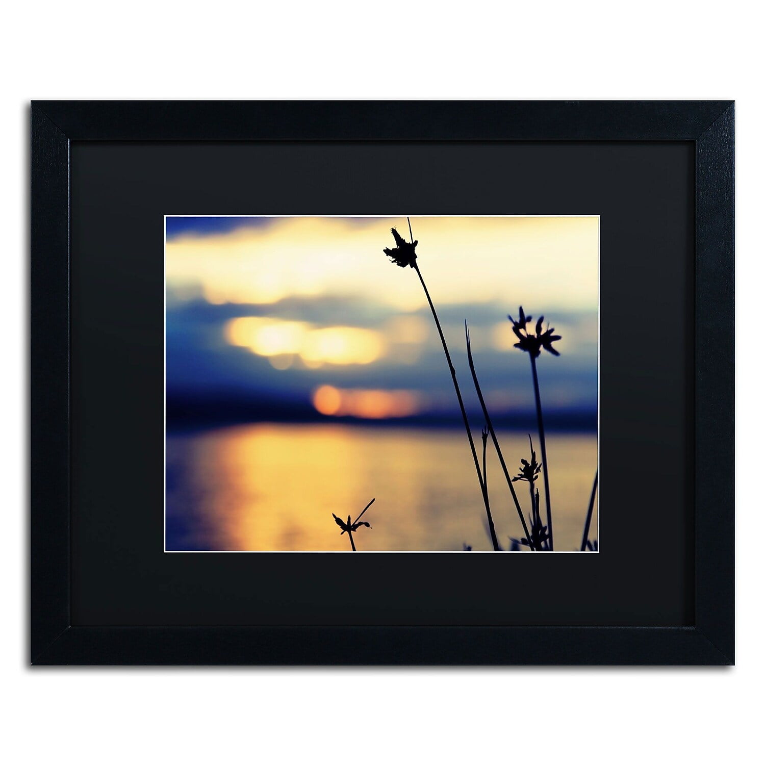 Trademark Fine Art Floral Black Matted Framed Art ' Sunset Thoughts ' by Beata Czyzowska Young