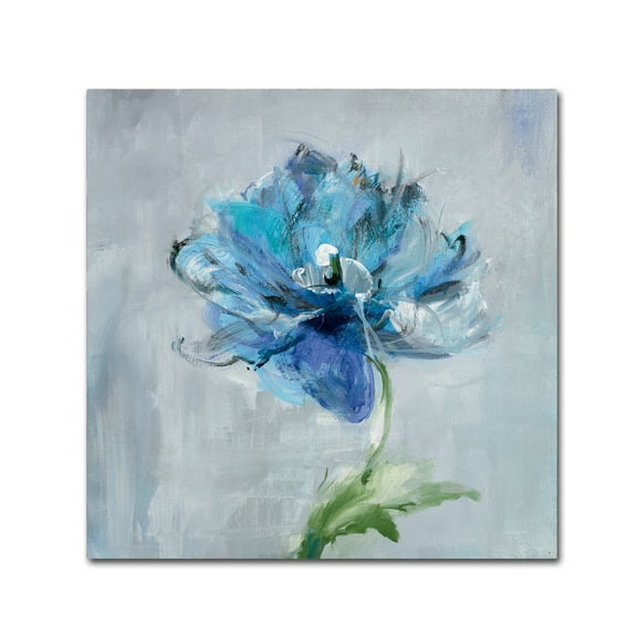 Trademark Fine Art 'Floral Bloom II v2' Canvas Art by Danhui Nai