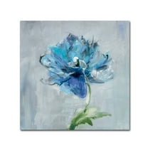 Trademark Fine Art 'Floral Bloom II v2' Canvas Art by Danhui Nai
