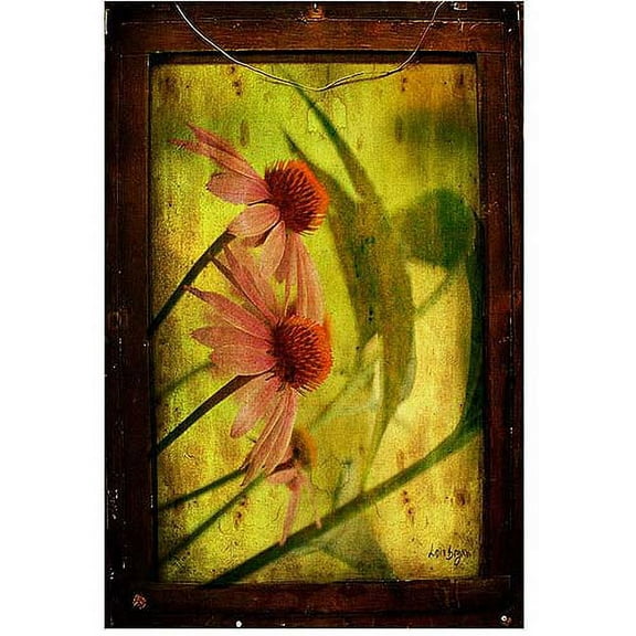 Trademark Fine Art Floral Canvas Art ' Antiqued Cone Flower ' by Lois Bryan