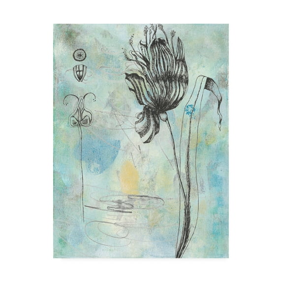 Trademark Fine Art Floral Canvas Art ' Botanical Abstract I ' by Naomi McCavitt