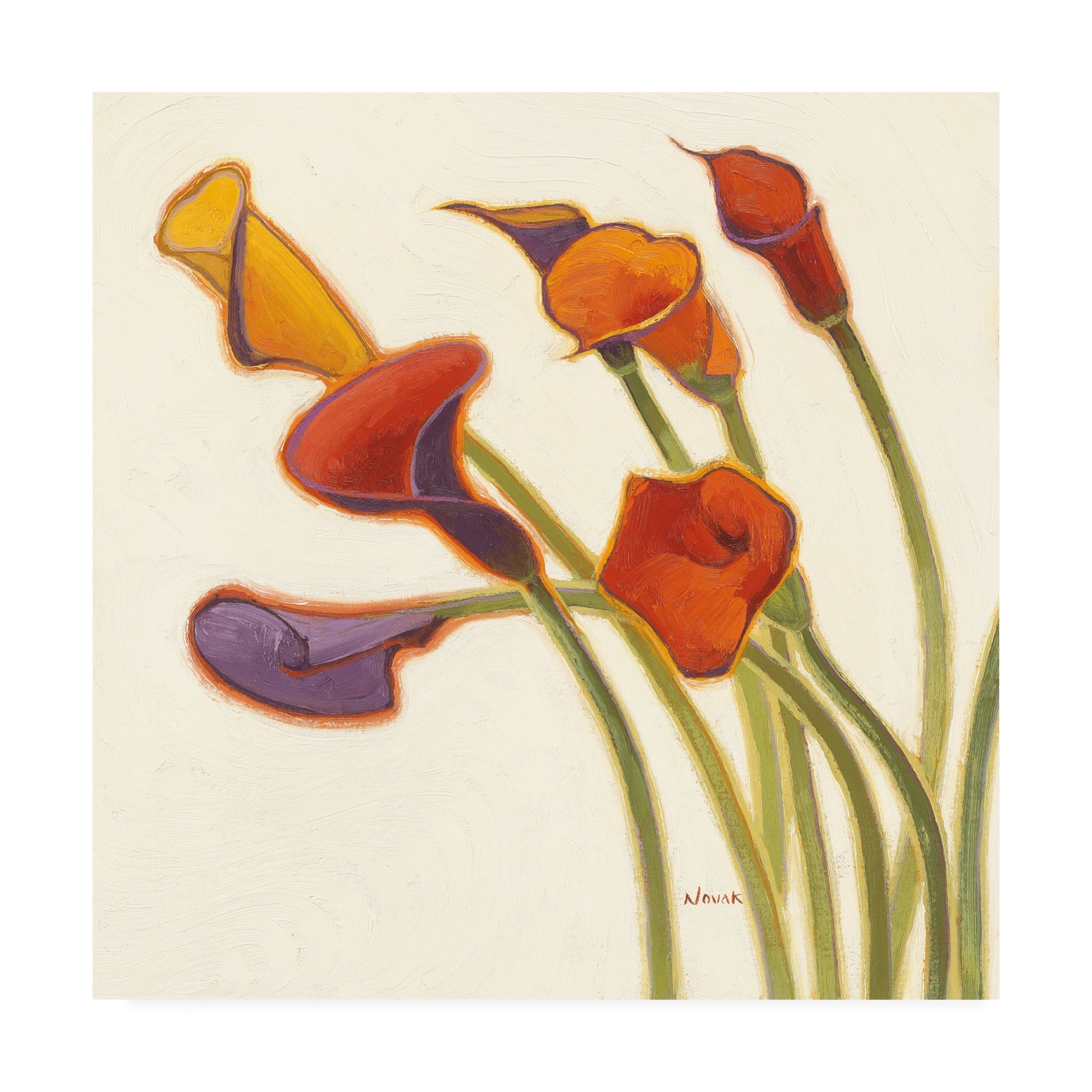 Trademark Fine Art Floral Canvas Art ' Callas in the Wind II ' by Shirley Novak