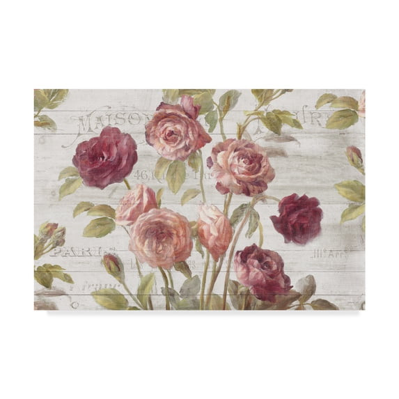 Trademark Fine Art Floral Canvas Art ' French Roses I ' by Danhui Nai