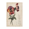thumbnail image 1 of Trademark Fine Art Floral Canvas Art ' Garden Studies Ii ' by Grace Popp, 1 of 4