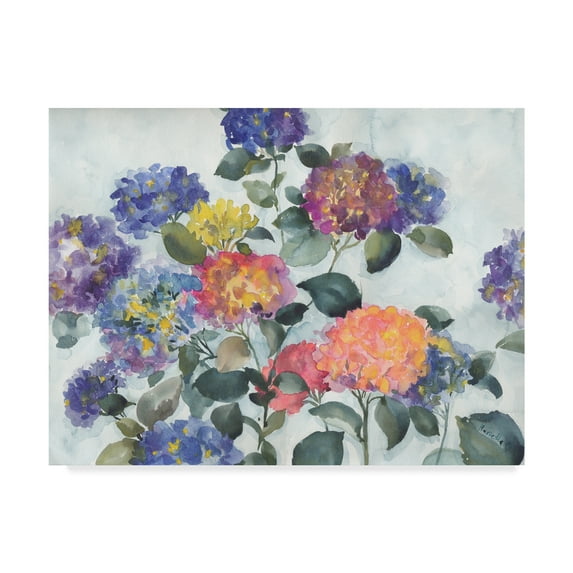 Trademark Fine Art Floral Canvas Art ' Hortensia Delight ' by Marietta Cohen Art And Design