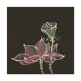 thumbnail image 1 of Trademark Fine Art Floral Canvas Art ' Lot On Black Iii ' by Chris Paschke, 1 of 3
