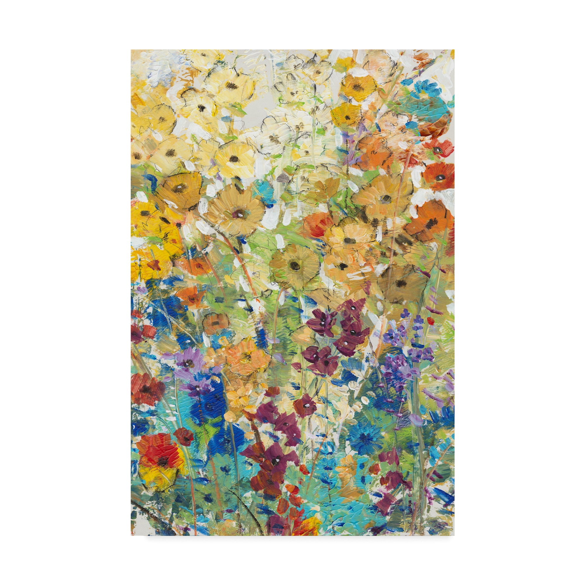 Trademark Fine Art Floral Canvas Art ' Meadow Floral I ' by Tim OToole
