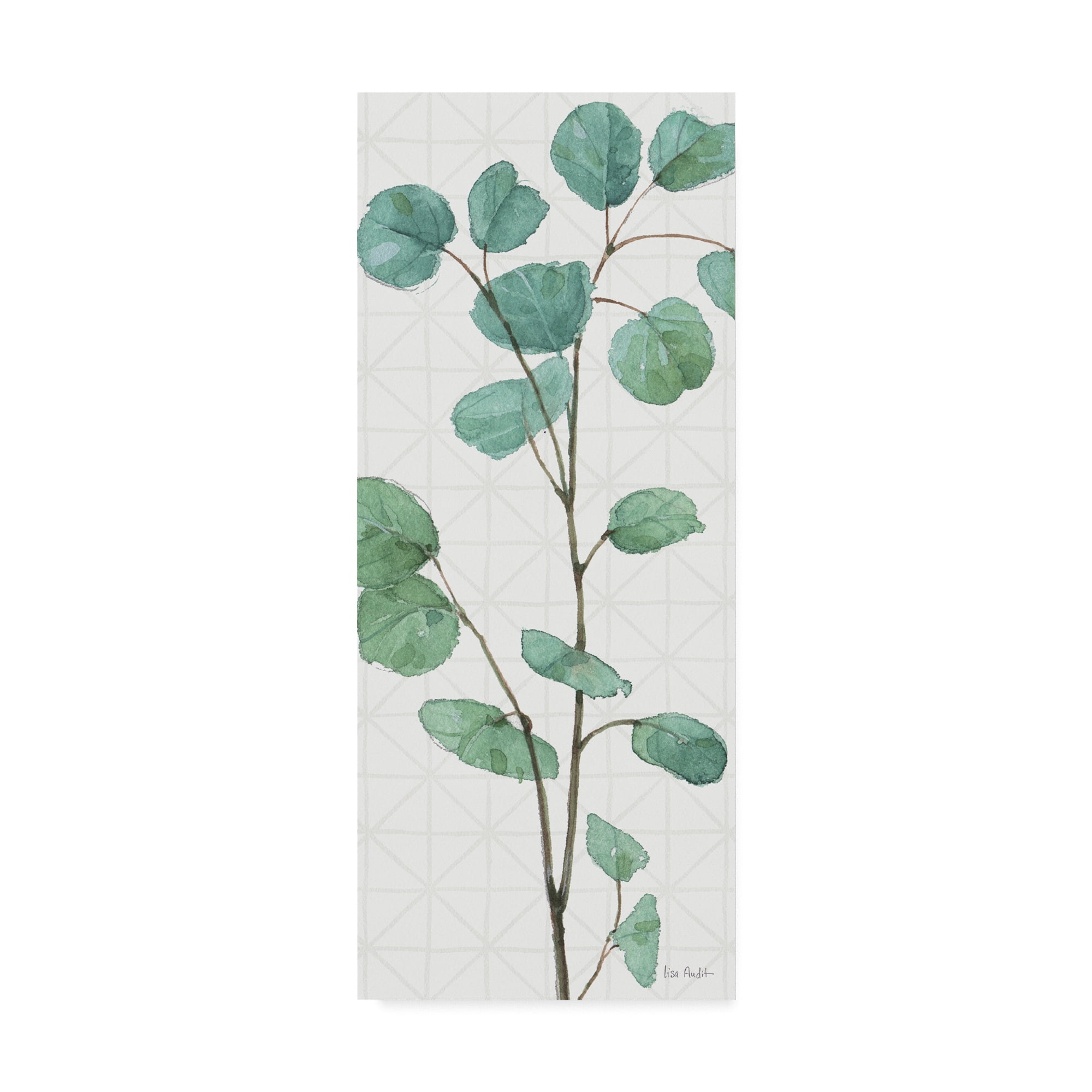 Trademark Fine Art Floral Canvas Art ' Mixed Greens Lix ' by Lisa Audit