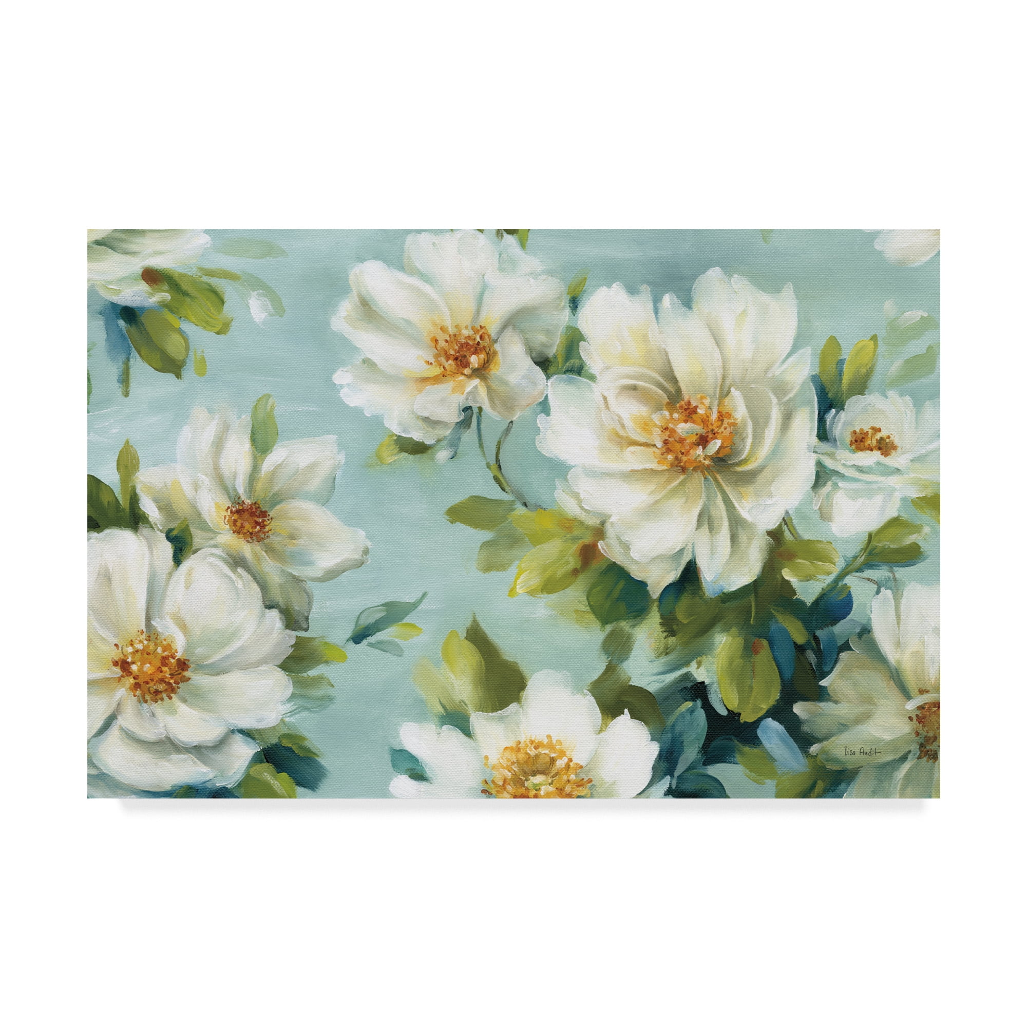 Trademark Fine Art Floral Canvas Art ' Reflections I Crop ' by Lisa Audit