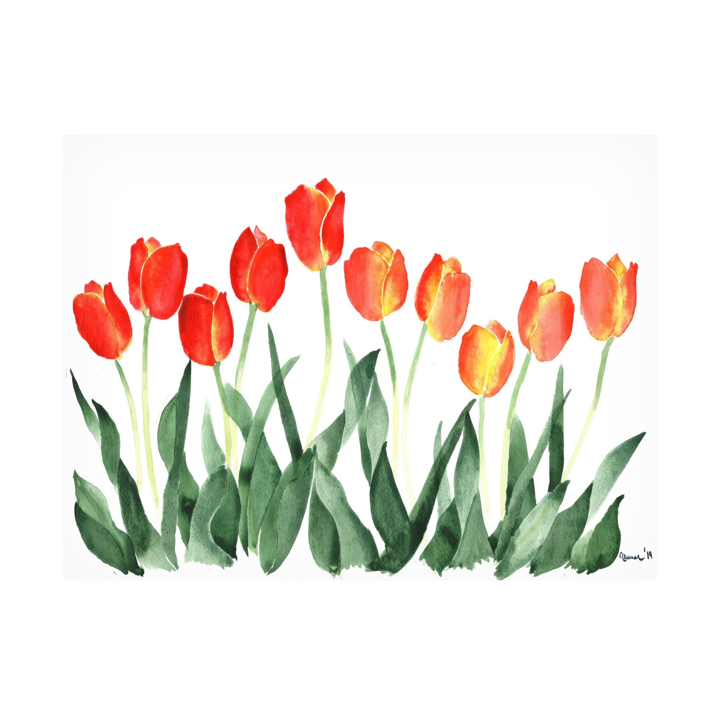 Trademark Fine Art Floral Canvas Art ' Tulips ' by Nicky Kumar