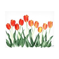 Trademark Fine Art Floral Canvas Art ' Tulips ' by Nicky Kumar