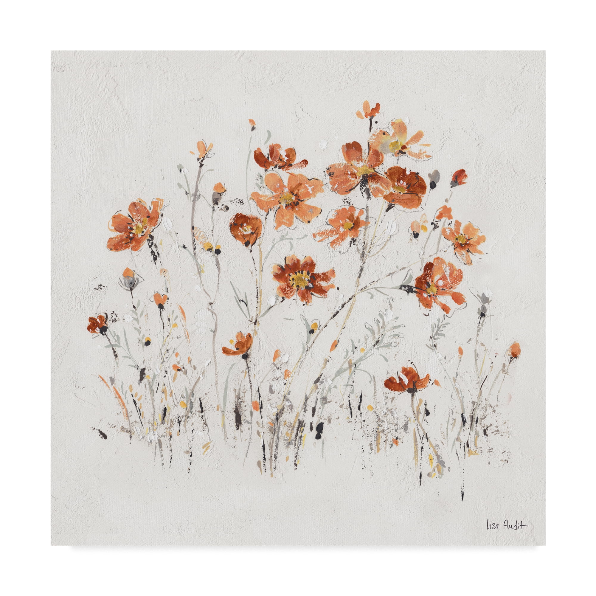 Trademark Fine Art Floral Canvas Art ' Wildflowers II Orange ' by Lisa Audit