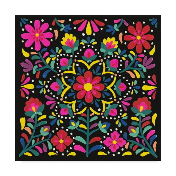 Trademark Fine Art 'Floral Fiesta II' Canvas Art by Laura Marshall
