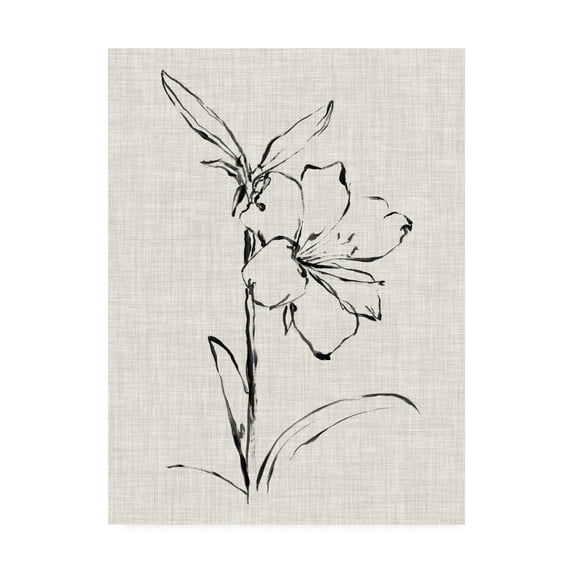 Trademark Fine Art 'Floral Ink Study I' Canvas Art by Ethan Harper