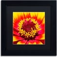 thumbnail image 1 of Trademark Fine Art "Floral Mass Coronal Ejection" Canvas Art by Kurt Shaffer, Black Matte, Black Frame, 1 of 5