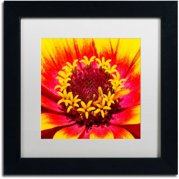 Trademark Fine Art "Floral Mass Coronal Ejection" Canvas Art by Kurt Shaffer, White Matte, Black Frame