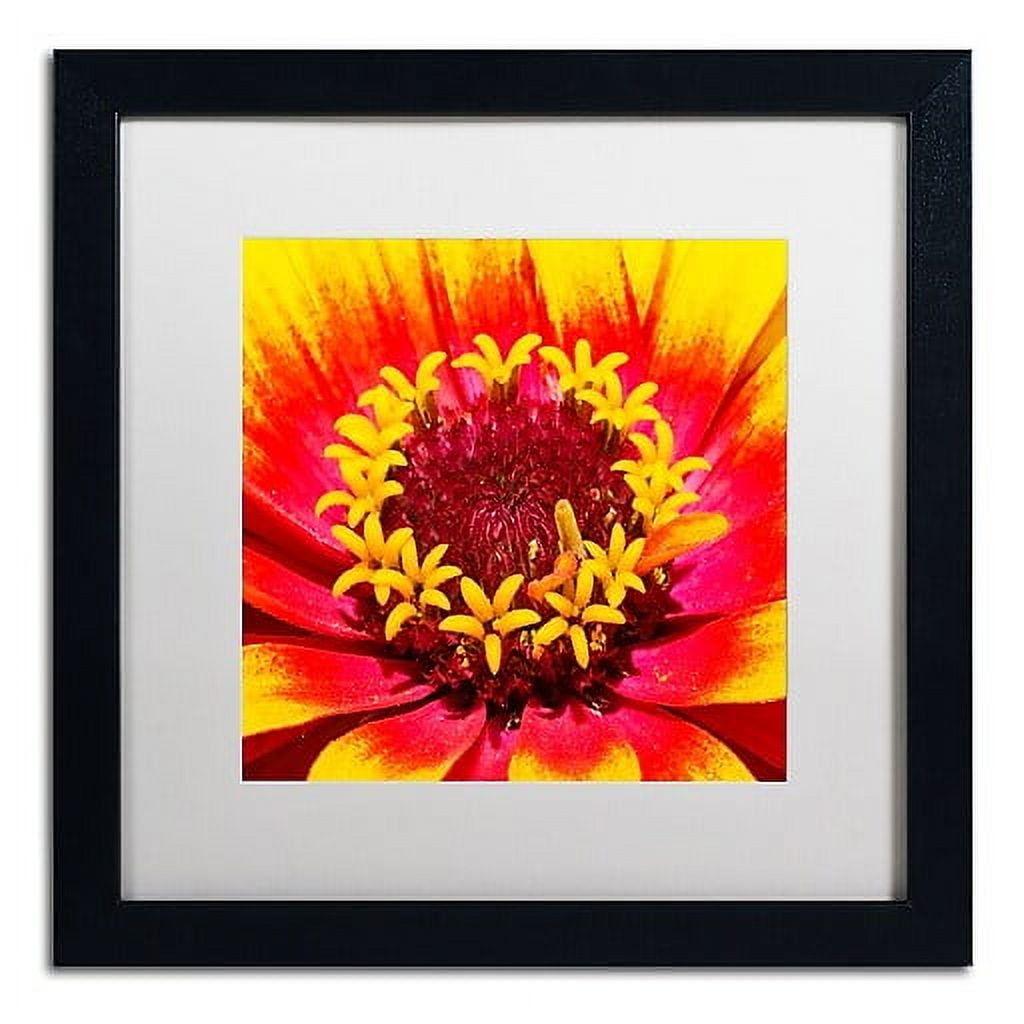 Trademark Fine Art "Floral Mass Coronal Ejection" Canvas Art by Kurt Shaffer, White Matte, Black Frame