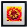 thumbnail image 1 of Trademark Fine Art "Floral Mass Coronal Ejection" Canvas Art by Kurt Shaffer, White Matte, Black Frame, 1 of 1
