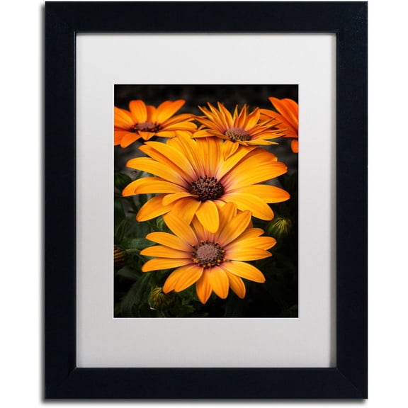 Trademark Fine Art Floral Matted Framed Art ' Stuck On You ' by Philippe Sainte-Laudy