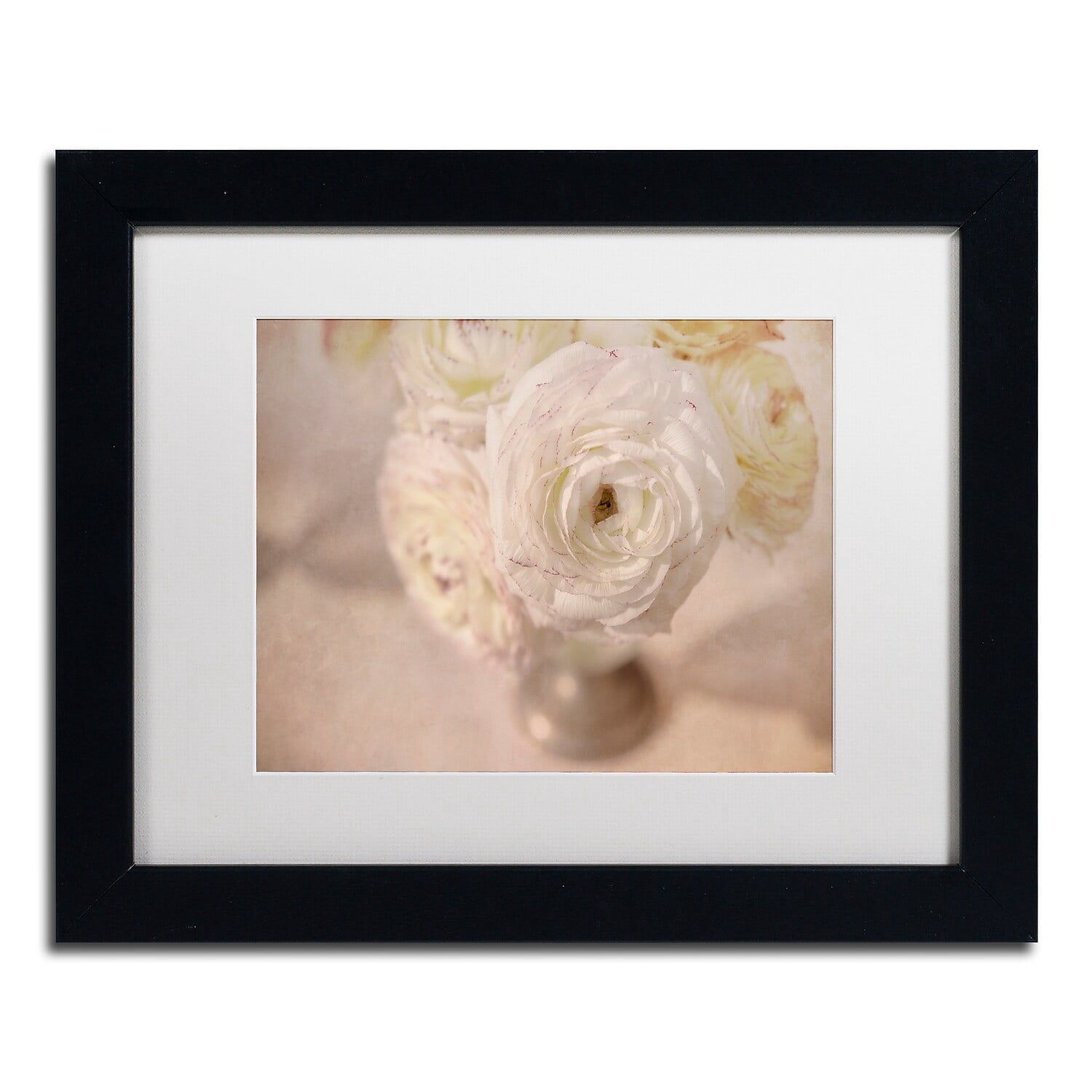 Trademark Fine Art Floral Matted Framed Art ' White Persian Buttercup Still Life ' by Cora Niele