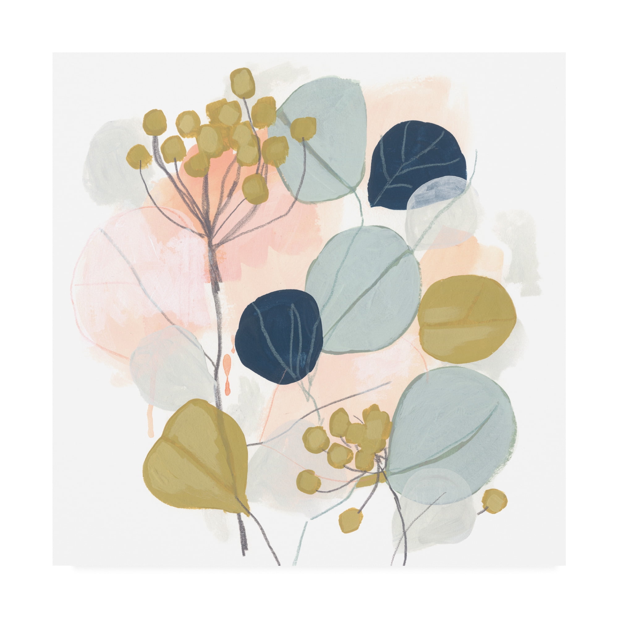 Trademark Fine Art 'Floral Mazurka I' Canvas Art by June Erica Vess