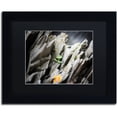thumbnail image 1 of Trademark Fine Art "Floral On Mineral" Canvas Art by Philippe Sainte-Laudy Black Matte, Black Frame, 1 of 1