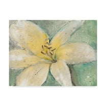Trademark Fine Art 'Floral Spirit III' Canvas Art by Tim OToole