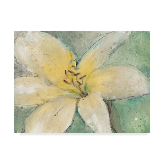 Trademark Fine Art 'Floral Spirit III' Canvas Art by Tim OToole
