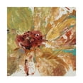 thumbnail image 1 of Trademark Fine Art 'Floral Splash I' Canvas Art by Tim OToole, 1 of 4