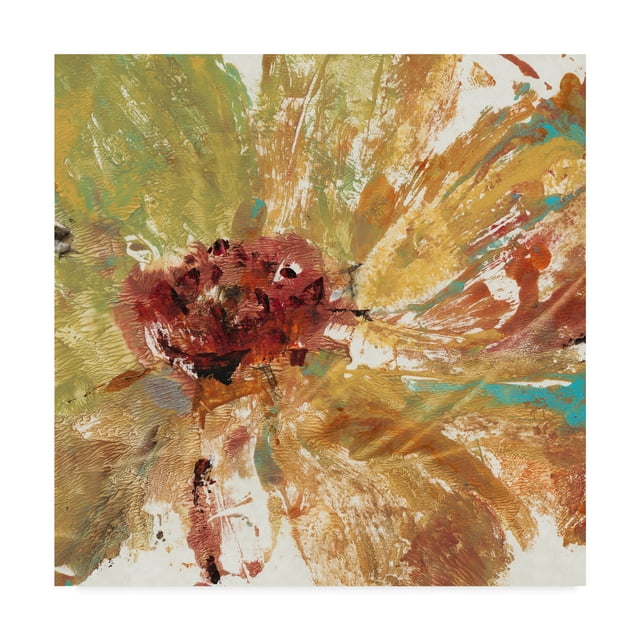 Trademark Fine Art 'Floral Splash I' Canvas Art by Tim OToole