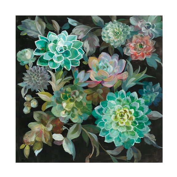 Trademark Fine Art 'Floral Succulents' Canvas Art by Danhui Nai