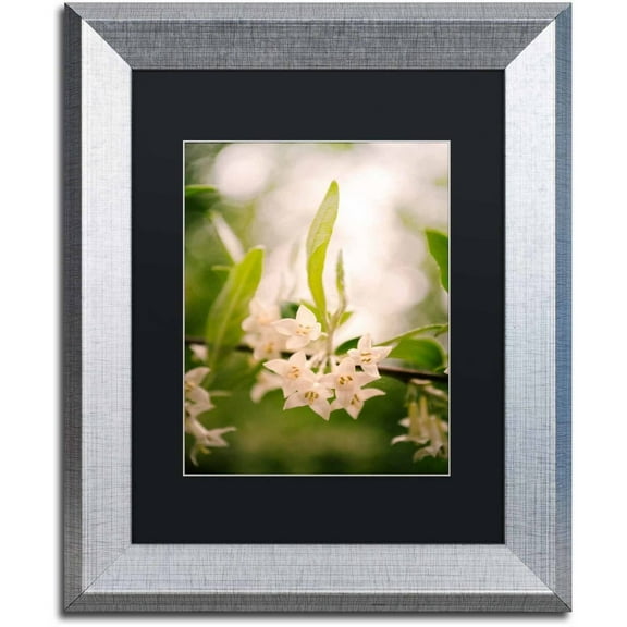 Trademark Fine Art 'Floral Tranquility' Canvas Art by PIPA Fine Art, Black Matte, Silver Frame